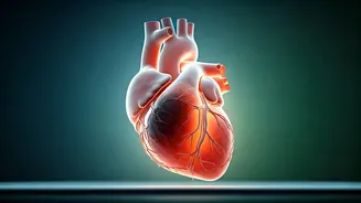 Top Heart Surgeon's Essential Advice: The Single Habit He'd Eliminate for Total Body Health