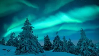 Photographers, Finland's winter landscapes will amaze you