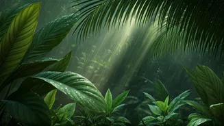 Monsoon Travelers Are Planning Like Pros
