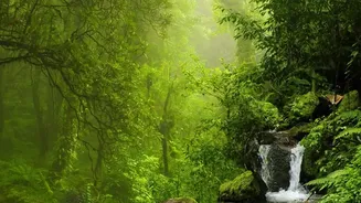 Explore Sohra Waterfalls And Living Root Bridges In Meghalaya Before Winter