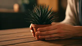 Analogue Wellness Is The New Screen-Light Escape