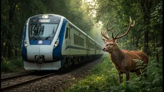 New Vande Bharat Wildlife Route Guides: The Risks, Benefits and Reader Takeaway