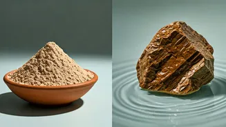 Related Stories banner