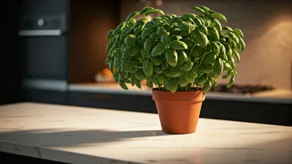 Countertop Plants Are The New Cooking Corner Flex
