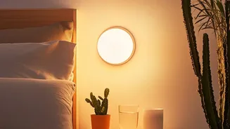 Makeover Small Rental Bedrooms Easily With Simple Tapestries Cushions And Soft Ambient Lighting