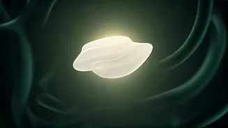 Unlock Gut Health: Master the Art of Eating Rice for Optimal Digestion and Balanced Blood Sugar