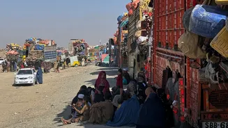 Pakistan Financial Crisis: 50% Fuel Cut, 9 PM Market Deadline, Foreign Travel Curbed