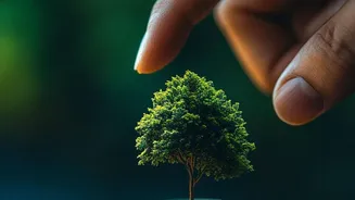 Separating Sustainability Claims From Financial Safety: Indian Sustainable Agriculture Bonds In Focus