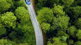 Why Young Drivers Love Post Monsoon Road Trips Across Lush Western Ghats Trails