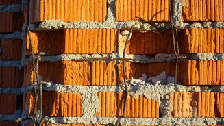 Delhi Police Probe: Unraveling Influencer Posts on Turkman Gate