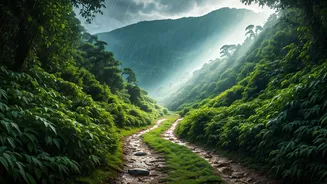 Why Indian Backpacker Groups Are Obsessed With Rainy Coorg Valleys