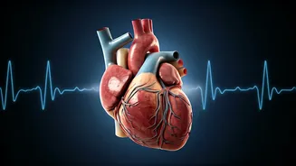 Related Stories banner