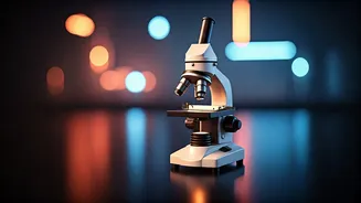 Research Fellowships Need More Youth Attention Now