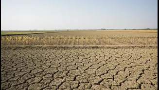 Weak Monsoon Clouds Rural FMCG Growth Outlook