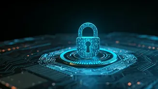 Fortifying Your Digital Presence: Understanding Website Security Verifications