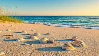Sanibel Island: Unveiling the Seashell Capital of the World's Natural Wonders
