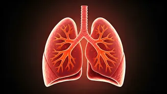 Eat These 7 Foods For Healthy Lungs In India
