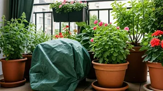 Monsoon Prep Starts With Your Balcony Plants Now