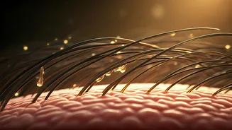 Revitalize Your Scalp: Potent Oil Blends for Speedy Hair Regrowth in Alopecia Areata