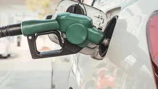 Related Stories banner