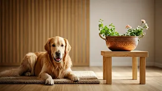 Furry Family Members Experience Ultimate Holistic Health Upgrades Across India