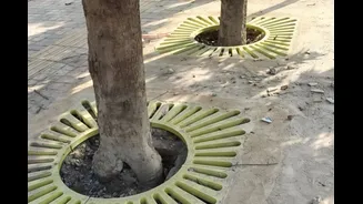 Lucknow’s Slatted Tree Grates Trend: Netizens Urge More Cities To Adopt, Hunt Officer Behind ‘Dubai/Thailand Trips’