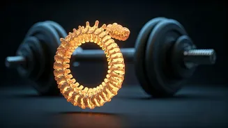 Protect Longevity By Choosing Spinal Flexibility Over Heavy Barbells