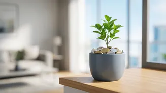 How To Use Auto-SIP Features To Grow Monthly Savings In Tier 2 Cities