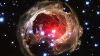 Neutrino Behaviour Could Explain Why Some Red Supergiants Seem To Vanish