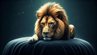 Related Stories banner