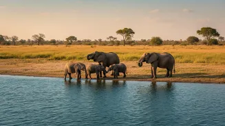 Chobe Safari Lodges Offer River Cruises Near Botswana's Elephant Country