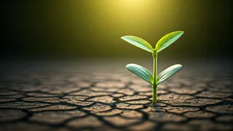 Beyond Diet: The Jain Philosophy of Minimum-Violence Living