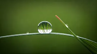 Related Stories banner