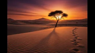 GK: What Are The Five Deserts In The World That Once Had A Vast Ocean?