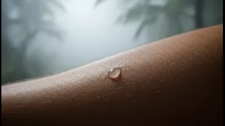 How Monsoon Moisture Changes The Way Your Body Loses Water During Exercise