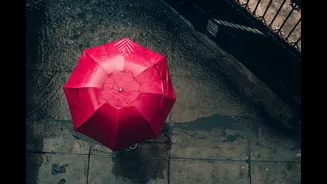 Monsoon wishlist begins: what Indians are buying before first rain arrives