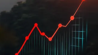 How To Read Stock Charts And Balance Sheets: Core Market Rules For Young Starters