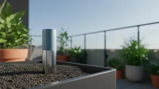 How IoT Soil Probes Prevent Overwatering Issues In Compact Urban Balcony Gardens