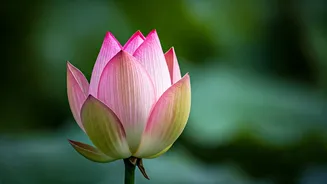 Chaitra Navratri: Embrace Divine Blessings, Joyful Wishes & Spiritual Renewal