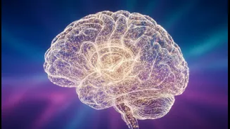 Why neuroscientists predict diagnostic breakthroughs following cerebellar medical assumption revisions