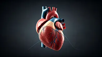 Related Stories banner