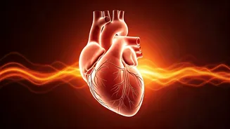 Unseen Dangers of Heatwaves: Beyond the Sweat, a Silent Strain on Your Body