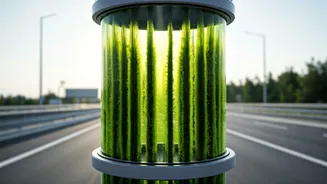 India's First Algae Air Tower Debuts in Delhi: A Green Leap for Urban Air Quality
