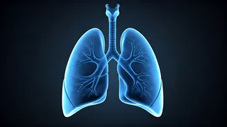 Breathe Easier: Cleanse Your Lungs Naturally