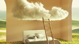 How Natural Morning Light Signals Your Brain To Sleep Deeper At Night Time