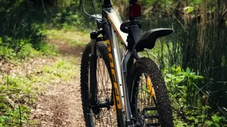 Why Andhra Pradesh Is Backing Bike Tourism In Forest-Rich Manyam District