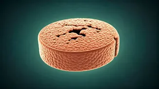 Abhay Deol's Journey: Stem Cells and Chronic Back Pain Relief