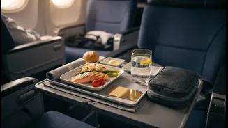Know When Airlines Must Provide Meals And Hotel Stays During Delays