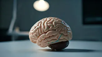 IGNOU's PG Diploma in Rehabilitation Psychology: Your Path to a Rewarding Career