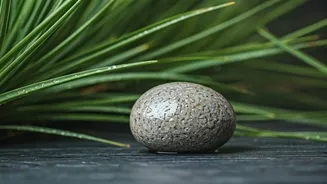 Healthy Habits: Simple Practices for Planetary Balance